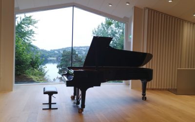Why Should You Hire Professional Piano Movers During Home Removals?
